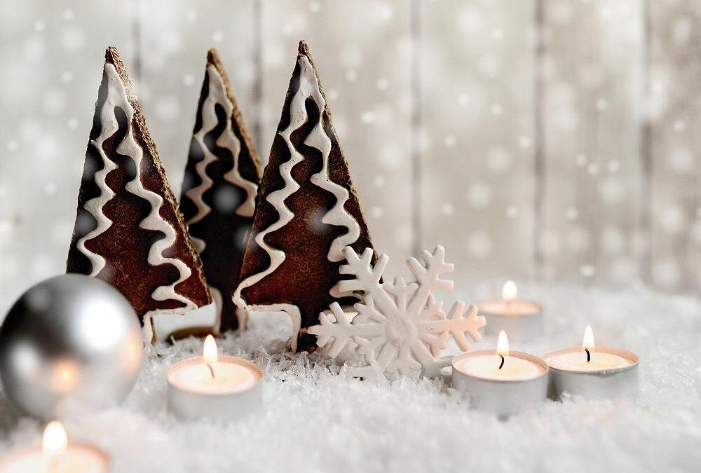 Newsletter – 7th November 2025