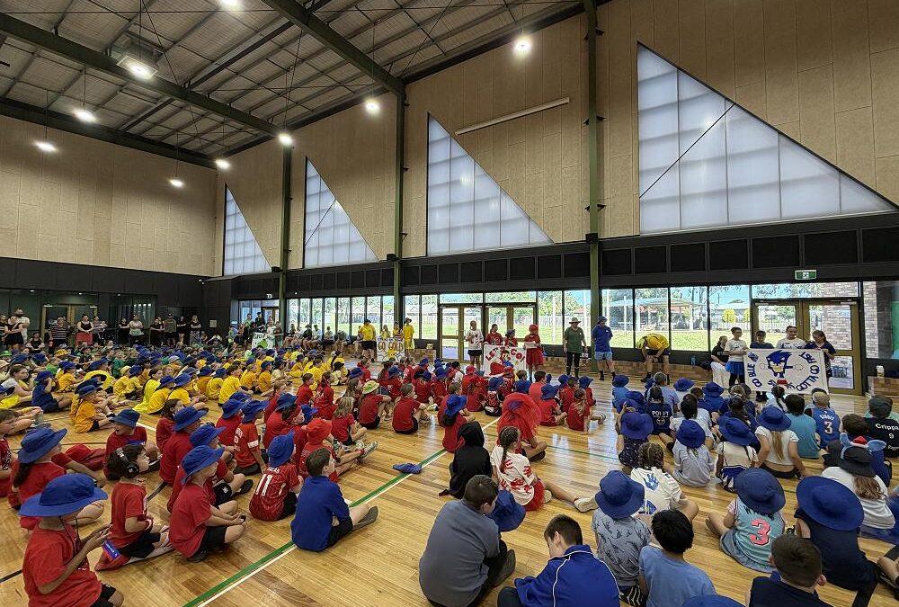 Sports Days